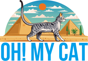 エジプシャンマウ専門ブリーダー｜子猫｜販売